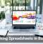 Rethinking Spreadsheets in Business